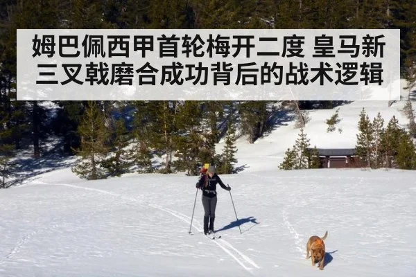 姆巴佩西甲首轮梅开二度 皇马新三叉戟磨合成功背后的战术逻辑